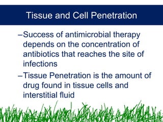 Microbiology &Antibiotics
