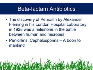 Microbiology &Antibiotics