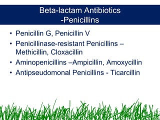 Microbiology &Antibiotics