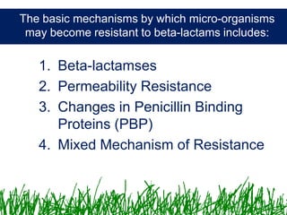 Microbiology &Antibiotics