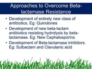 Microbiology &Antibiotics