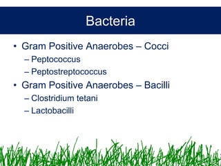 Microbiology &Antibiotics