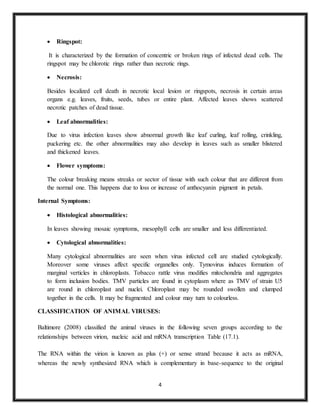 4
 Ringspot:
It is characterized by the formation of concentric or broken rings of infected dead cells. The
ringspot may be chlorotic rings rather than necrotic rings.
 Necrosis:
Besides localized cell death in necrotic local lesion or ringspots, necrosis in certain areas
organs e.g. leaves, fruits, seeds, tubes or entire plant. Affected leaves shows scattered
necrotic patches of dead tissue.
 Leaf abnormalities:
Due to virus infection leaves show abnormal growth like leaf curling, leaf rolling, crinkling,
puckering etc. the other abnormalities may also develop in leaves such as smaller blistered
and thickened leaves.
 Flower symptoms:
The colour breaking means streaks or sector of tissue with such colour that are different from
the normal one. This happens due to loss or increase of anthocyanin pigment in petals.
Internal Symptoms:
 Histological abnormalities:
In leaves showing mosaic symptoms, mesophyll cells are smaller and less differentiated.
 Cytological abnormalities:
Many cytological abnormalities are seen when virus infected cell are studied cytologically.
Moreover some viruses affect specific organelles only. Tymovirus induces formation of
marginal verticles in chloroplasts. Tobacco rattle virus modifies mitochondria and aggregates
to form inclusion bodies. TMV particles are found in cytoplasm where as TMV of strain U5
are round in chloroplast and nuclei. Chloroplast may be rounded swollen and clumped
together in the cells. It may be fragmented and colour may turn to colourless.
CLASSIFICATION OF ANIMAL VIRUSES:
Baltimore (2008) classified the animal viruses in the following seven groups according to the
relationships between virion, nucleic acid and mRNA transcription Table (17.1).
The RNA within the virion is known as plus (+) or sense strand because it acts as mRNA,
whereas the newly synthesized RNA which is complementary in base-sequence to the original
 