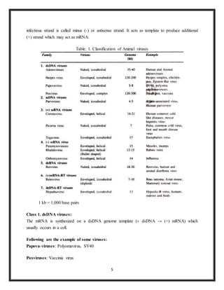 5
infectious strand is called minus (-) or antisense strand. It acts as template to produce additional
(+) strand which may act as mRNA.
Table. 1. Classification of Animal viruses
1 kb = 1,000 base pairs
Class 1. dsDNA viruses:
The mRNA is synthesized on a dsDNA genome template (± dsDNA → (+) mRNA) which
usually occurs in a cell.
Following are the example of some viruses:
Papova-viruses: Polyomavirus, SV40
Poxviruses: Vaccinia virus
 