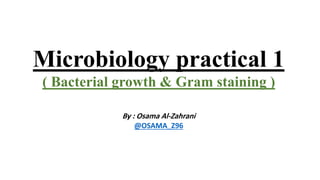 Microbiology practical 1
( Bacterial growth & Gram staining )
By : Osama Al-Zahrani
@OSAMA_Z96
 