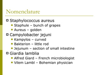 Nomenclature  Staphylococcus aureus  Staphule – bunch of grapes  Aureus – golden  Campylobacter jejuni Kampylos – curved Bakterion – little rod Jejunum – section of small intestine Giardia lamblia Alfred Giard – French microbiologist  Vilem Lambl – Bohemian physician  