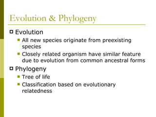 Evolution & Phylogeny  Evolution  All new species originate from preexisting species  Closely related organism have similar feature due to evolution from common ancestral forms  Phylogeny  Tree of life  Classification based on evolutionary relatedness 