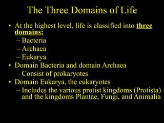 The Three Domains of Life At the highest level, life is classified into  three domains: Bacteria Archaea Eukarya Domain Bacteria and domain Archaea Consist of prokaryotes Domain Eukarya, the eukaryotes Includes the various protist kingdoms (Protista) and the kingdoms Plantae, Fungi, and Animalia 