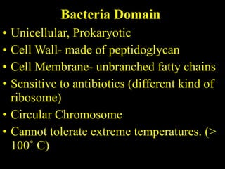 Bacteria Domain Unicellular, Prokaryotic Cell Wall- made of peptidoglycan Cell Membrane- unbranched fatty chains Sensitive to antibiotics (different kind of ribosome) Circular Chromosome Cannot tolerate extreme temperatures. (> 100˚ C) 