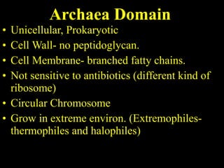Archaea Domain Unicellular, Prokaryotic Cell Wall- no peptidoglycan. Cell Membrane- branched fatty chains. Not sensitive to antibiotics (different kind of ribosome) Circular Chromosome Grow in extreme environ. (Extremophiles- thermophiles and halophiles) 