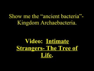 Show me the “ancient bacteria”-  Kingdom Archaebacteria. Video:  Intimate Strangers- The Tree of Life . 