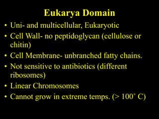 Eukarya Domain Uni- and multicellular, Eukaryotic Cell Wall- no peptidoglycan (cellulose or chitin) Cell Membrane- unbranched fatty chains. Not sensitive to antibiotics (different ribosomes) Linear Chromosomes Cannot grow in extreme temps. (> 100˚ C) 