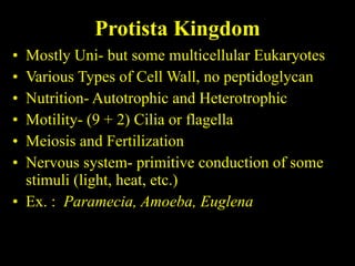Protista Kingdom Mostly Uni- but some multicellular Eukaryotes Various Types of Cell Wall, no peptidoglycan Nutrition- Autotrophic and Heterotrophic Motility- (9 + 2) Cilia or flagella Meiosis and Fertilization Nervous system- primitive conduction of some stimuli (light, heat, etc.) Ex. :  Paramecia, Amoeba, Euglena 