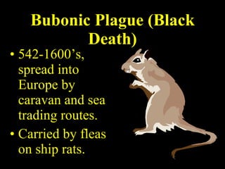Bubonic Plague (Black Death) 542-1600’s, spread into Europe by caravan and sea trading routes. Carried by fleas on ship rats. 