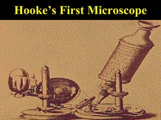 Hooke’s First Microscope 