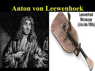Anton von Leewenhoek 