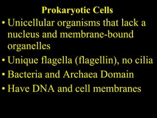Unicellular organisms that lack a nucleus and membrane-bound organelles Unique flagella (flagellin), no cilia Bacteria and Archaea Domain Have DNA and cell membranes Prokaryotic Cells 