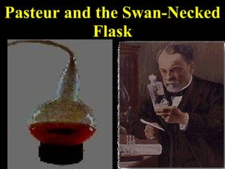 Pasteur and the Swan-Necked Flask 