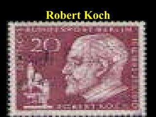 Robert Koch 