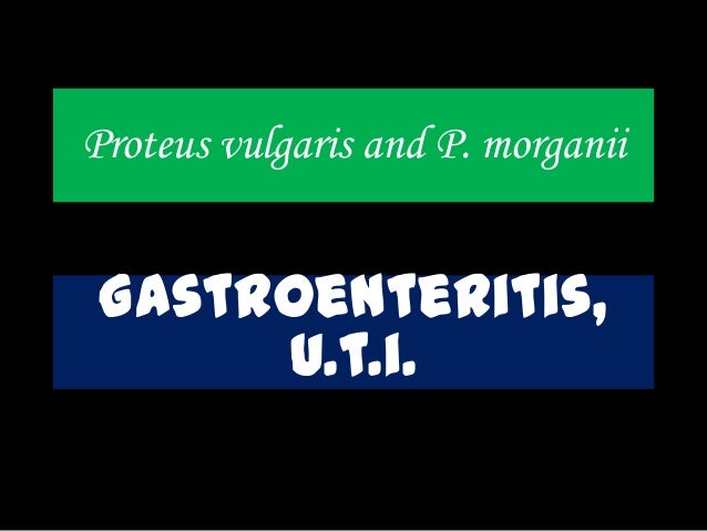 research manuscript on proteus vulgaris research manuscript on proteus vulgaris