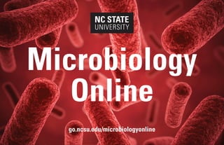 Microbiology
Online
Microbiology
Online
go.ncsu.edu/microbiologyonline
go.ncsu.edu/microbiologyonline
 