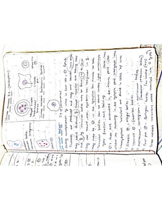 Mycology & Virology complete written notes 