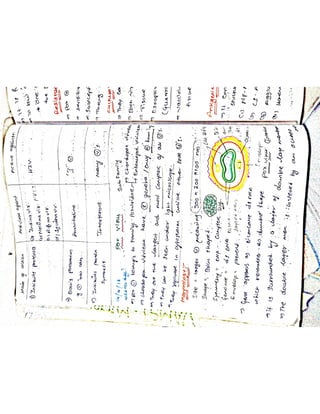 Mycology & Virology complete written notes 