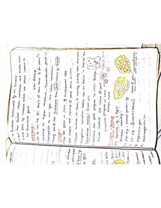 Mycology & Virology complete written notes 