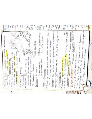 Mycology & Virology complete written notes 