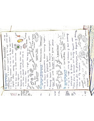 Mycology & Virology complete written notes 