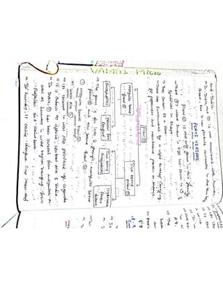 Mycology & Virology complete written notes 