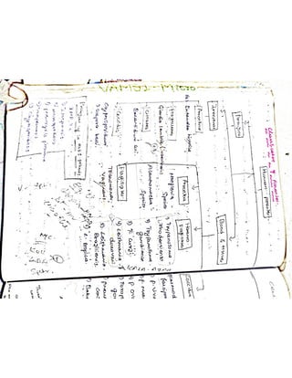 Mycology & Virology complete written notes 