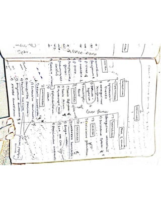Mycology & Virology complete written notes 