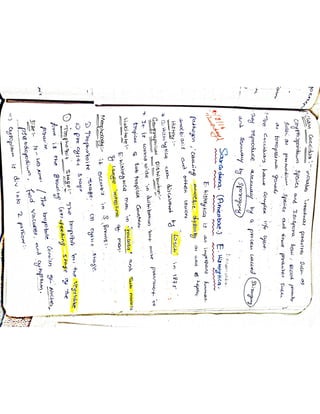 Mycology & Virology complete written notes 