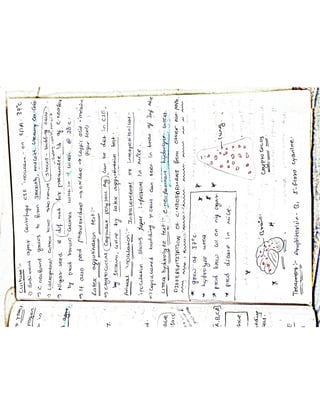 Mycology & Virology complete written notes 