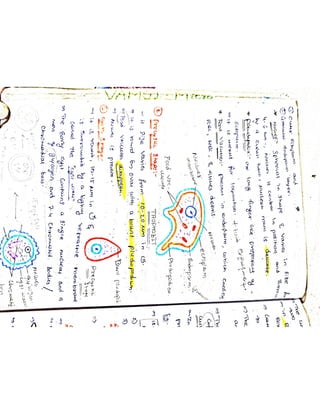 Mycology & Virology complete written notes 