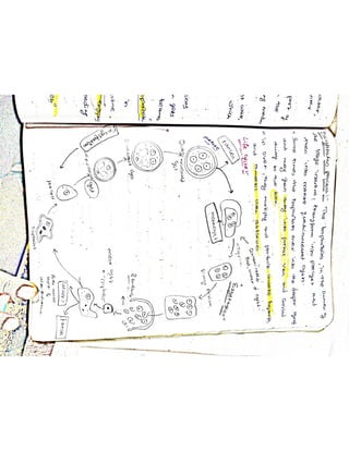 Mycology & Virology complete written notes 