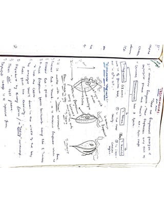 Mycology & Virology complete written notes 