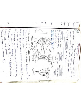 Mycology & Virology complete written notes 