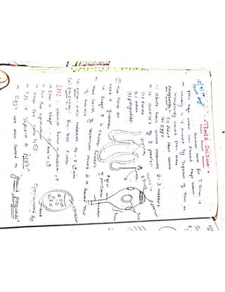 Mycology & Virology complete written notes 