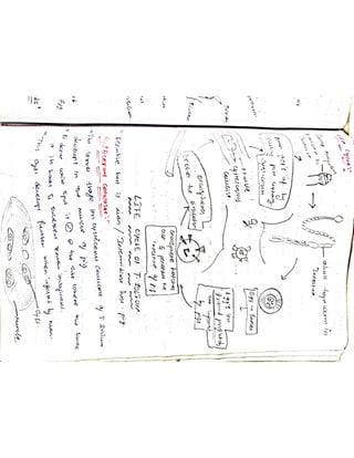 Mycology & Virology complete written notes 