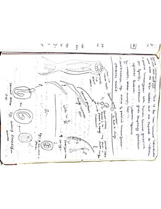 Mycology & Virology complete written notes 