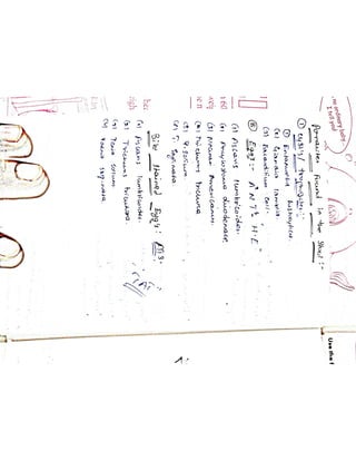 Mycology & Virology complete written notes 
