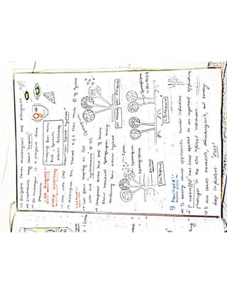 Mycology & Virology complete written notes 