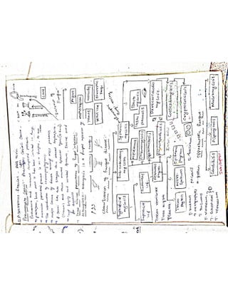 Mycology & Virology complete written notes 
