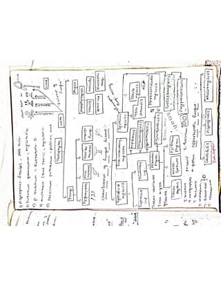 Mycology & Virology complete written notes 