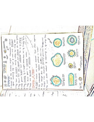 Mycology & Virology complete written notes 