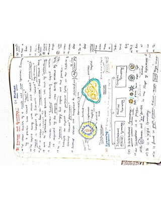 Mycology & Virology complete written notes 