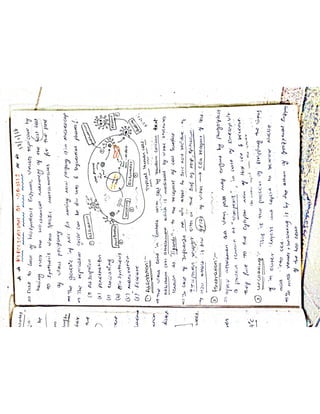 Mycology & Virology complete written notes 