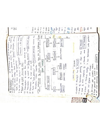 Mycology & Virology complete written notes 